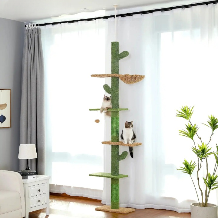 Arbre a chat Image