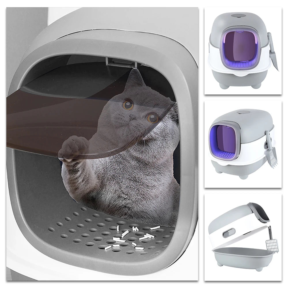 Bac litiere Chat
