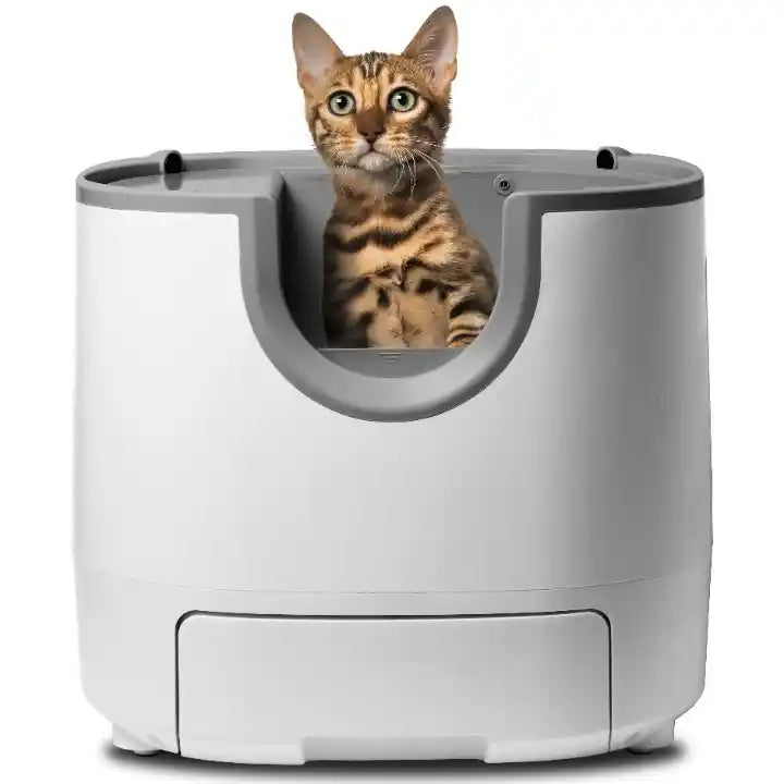 Litiere chat Autonettoyante – Le Confort 5 Étoiles pour Votre Chat