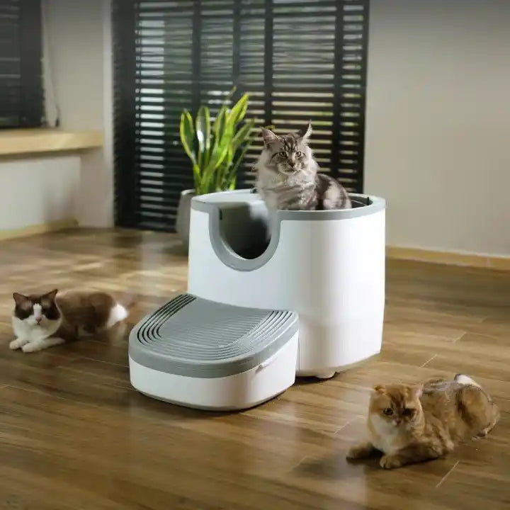 Litiere chat Autonettoyante – Le Confort 5 Étoiles pour Votre Chat