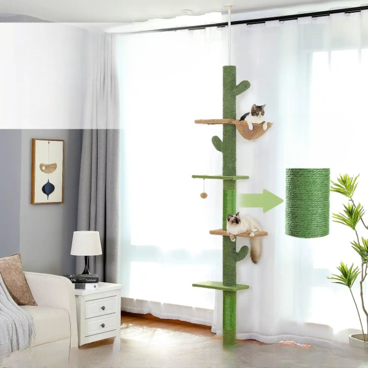 Arbre à chat – Hamac et Balle Suspendue