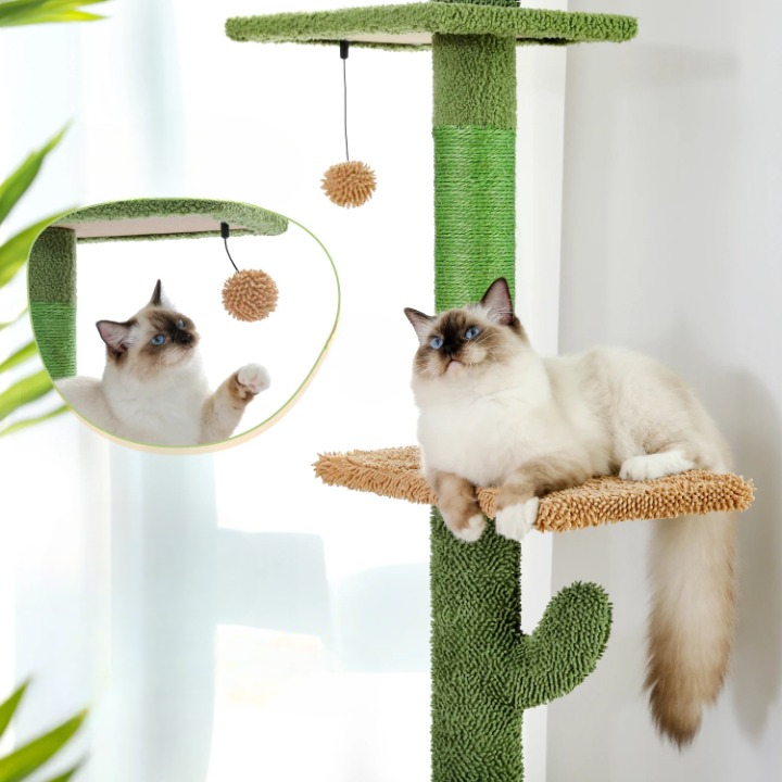 Arbre à chat – Hamac et Balle Suspendue