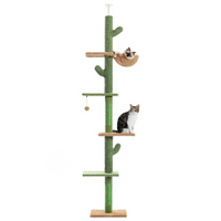 Arbre à chat – Hamac et Balle Suspendue