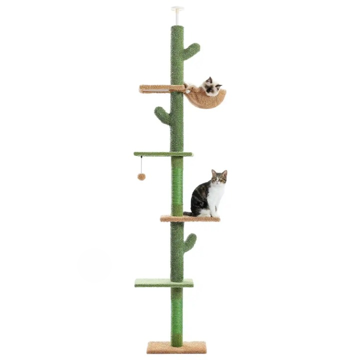 Arbre à chat – Hamac et Balle Suspendue