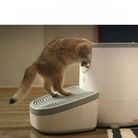 Rampe litière chat